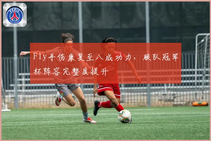Fly手伤康复至八成功力，狼队冠军杯阵容完整度提升